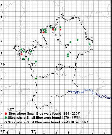 Small Blue Distribution map in Hertfordshire and Middlesex