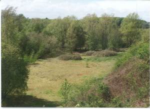 Waterford Heath