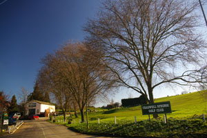 3 elms at Chadwell Spring Golf course near Ware