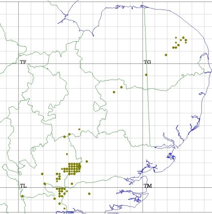 White-letter Hairstreak Records in Hertfordshire & Middlesex based on Liz Goodyear & Andrew Middletons personal records