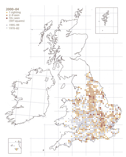 2000-2004 distribution