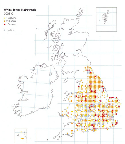 2005-2009 distribution