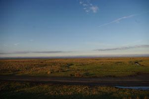 NY25 - view at 2km level - Liz Goodyear