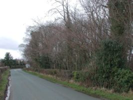 SJ16 elm at 10km level - Andrew Middleton
