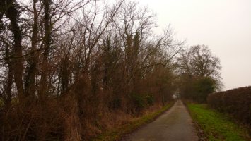 SJ458587 view of target 1km - Gavin Woodman