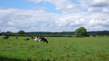 SJ9229 view of target 1km - Gavin Woodman