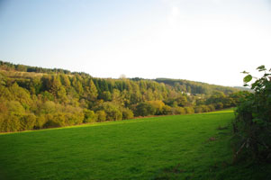 SN91 view across to valley where elm found at 10km level - Liz Goodyear