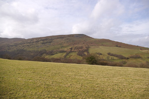 SO0323 view at 2km level, wooded valley private - Liz Goodyear