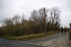 SO9727 roadside elm at 1km level - Liz Goodyear