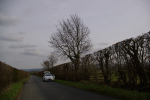 SP0235 roadside elm, 1 hatched egg found from 2007 - Liz Goodyear