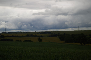 SP9746 near Kempston, Beds- Liz Goodyear