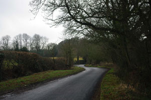 SU4019 roadside elm at 2km level after flailing - Liz Goodyear