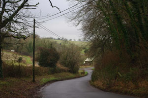 SU52 roadside elm at 10km level, egg found - Liz Goodyear