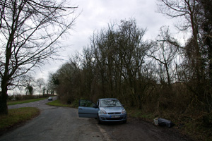 SU90 short stretch of predominently dead elm at 10km level - Liz Goodyear