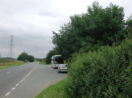 TF0807 - plentiful road side elm near Tallington, Lincs - Andrew Middleton