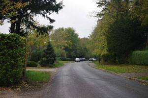 TF3964 roadside elm at 2km level - Liz Goodyear