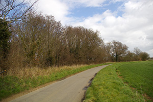 TF9126 roadside elm at 10km level - hatched egg found - Liz Goodyear