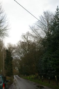 TG0917 - trees near Easthaugh - Liz Goodyear