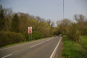 TL0024 Wood edge elm found by roadside in adjacent 1km square - Liz Goodyear