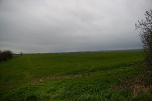 landcape view of TL58 - Liz Goodyear