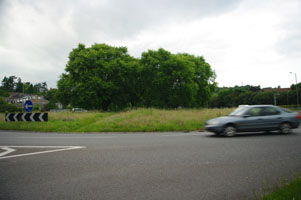 TQ1647 6 trees on a roundabout at 10km level - Liz Goodyear