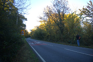 TQ2020 roadside elm at 10km level - Liz Goodyear